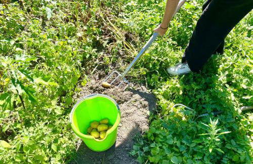 Villa Gärtnerhaus by Interhome - Foto 22