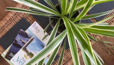 Nid cosy au cœur de Palais - Foto 4