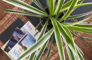 Nid cosy au cœur de Palais - Photo 4