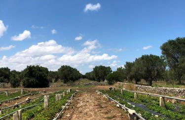 Masseria Berzario - Foto 57