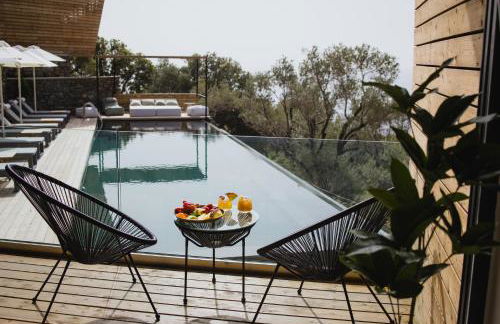 Five Olive Dream Trip - Photo 23