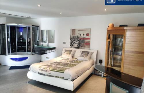 Loft Zen SPA Balneo Parking Gratuit Sauna Hammam Billard - Foto 3