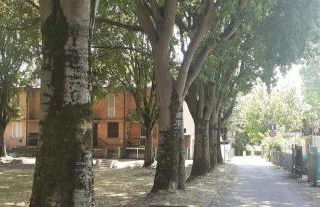 Villetta nel verde di Ferrara - Foto 16
