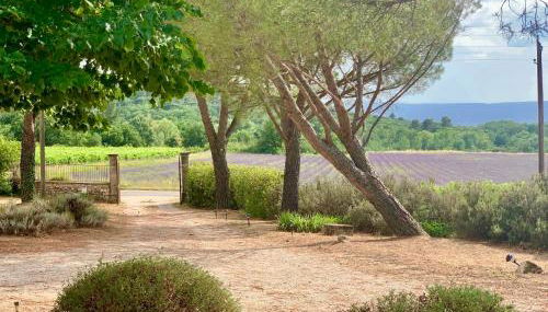 Villa avec Piscine et Vues Imprenables - Foto 4