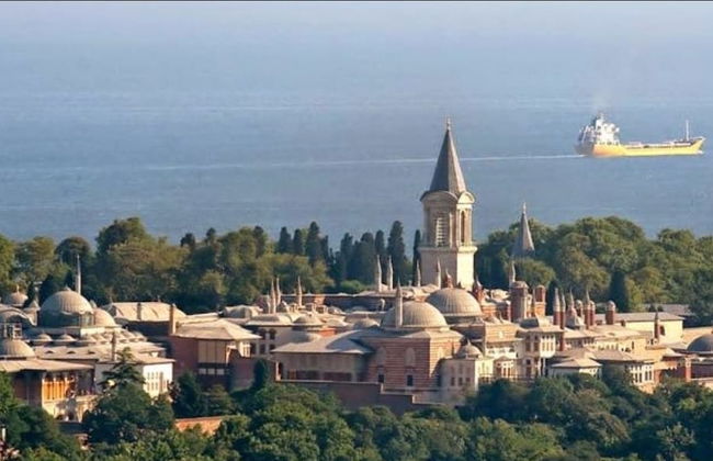 D&D Suites Flora - Foto 38