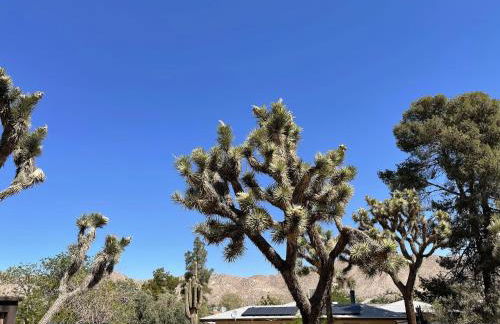 *NEW*King Beds*BBQ Grill*Fire-pit*Hammock*workplace - Foto 34