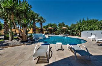 XENOS VILLA 2 with a private pool,near the sea - Foto 7