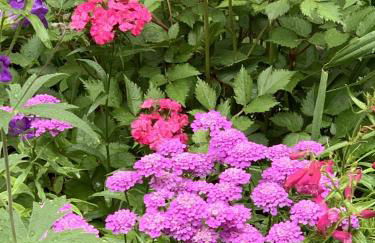 Ferienwohnung Sonnenterrasse - Foto 16