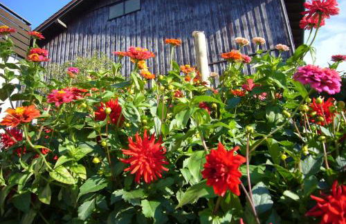 Baumanns Ferienhof Am See - Foto 47