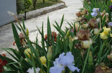 villa provençale en pierre avec vue sur la mer, piscine et jacuzzi - Foto 48