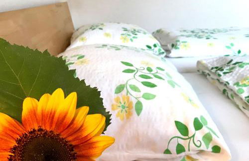 Ferienhof Biegger - Foto 12