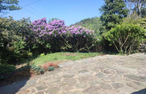 Y Cwtch - Panoramic mountain views within Snowdonia's National Park - 4x4 only - Foto 25