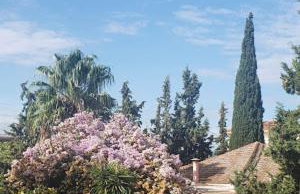 Carpe Diem Apartments By Athens Airport - Foto 32