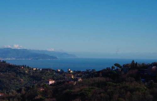 Fattorialmare Blu - Foto 2