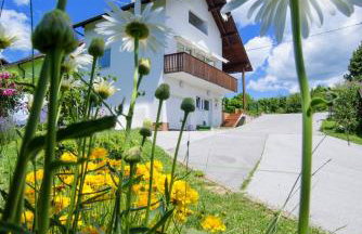 Apartment Bastaja - Foto 1