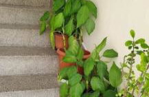 Snow White Apartment - Foto 12