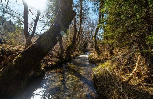 Wood Cabins by the River - for Nature Lovers - Photo 50