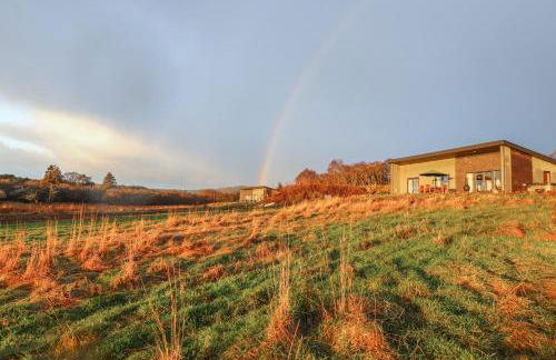 Red Squirrel - Foto 26