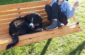 Domek w dolinie - Foto 16