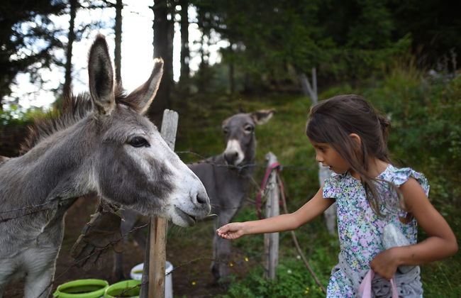 Almdorf Seinerzeit - Foto 61