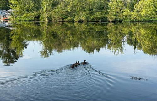 Paradise Island escape Riverfront in Clay, NY - Foto 66