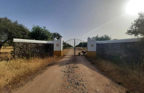 Herdade da Ordem - Foto 47