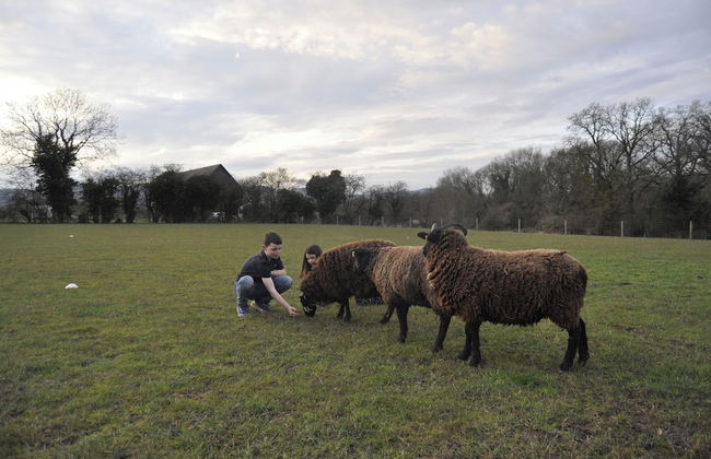 The Chalet is pet Friendly on a Farm Near Malvern - Foto 16
