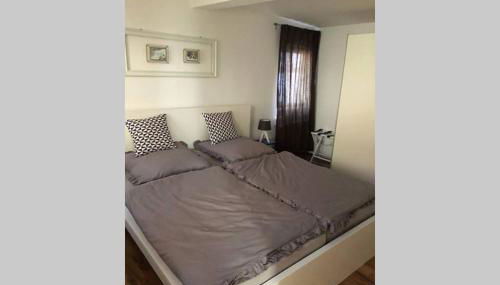 Platzhirsch Seligenstadt - Im Herzen der Altstadt - Foto 3