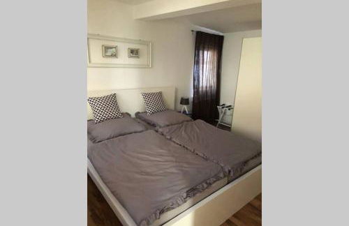 Platzhirsch Seligenstadt - Im Herzen der Altstadt - Foto 3