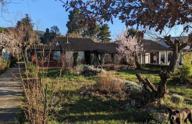 Chalet sul Trasimeno - Photo 24