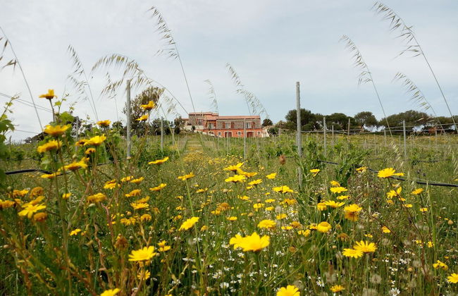 Tenuta Petra Bianca - Foto 27