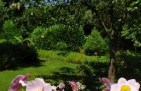 Ferienwohnung Exoten-Paradies im Garten Seggewiß - Tierfreie Nichtraucherwohnung in Raesfeld, Kreis Borken - Foto 31