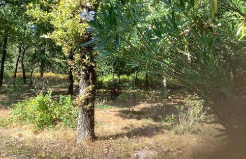 La Morandiere - Foto 3