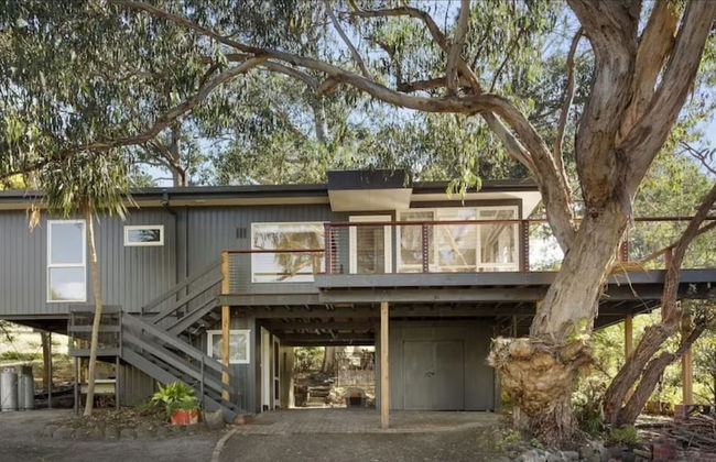 Whispering Gums Lorne Ocean Views Pet Friendly EV Charger - Photo 1