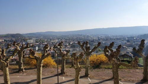 Ptit Montciel sur les hauteurs de Lons - Foto 3