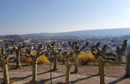 Ptit Montciel sur les hauteurs de Lons - Foto 3