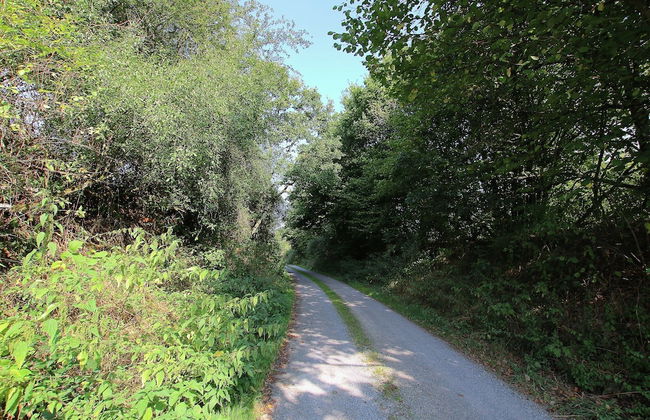 Great Holiday Home in Bastogne With Sauna - Foto 73