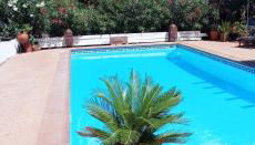 La Luciérnaga - Foto 3