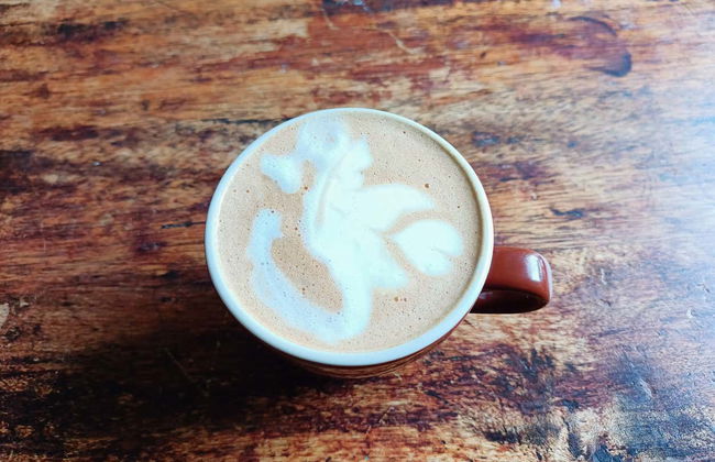 Taller de café en Salento - Photo 2