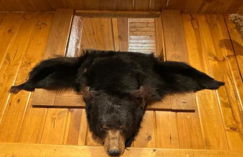 Log Cabin in the Woods - Foto 51