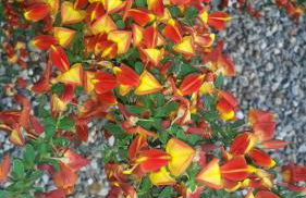 LuNesco alloggio DiVino, Chambre d'amis - Foto 16