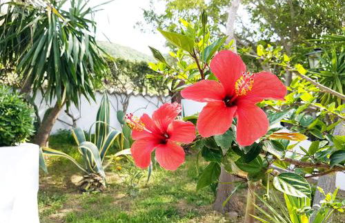 Villa del Sogno - Foto 37