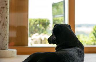 Ferienhaus hoch über dem Taubertal mit fantastischem Weitblick, Dachterrasse, 2000m2 großem Grundstück und Kamin - Foto 60