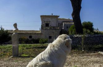 Villa Castiglione 1863 - The real Sicilian holiday - Foto 70