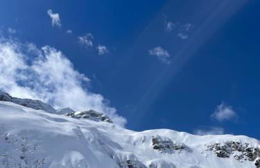 Forest Apartment Michael - Foto 21