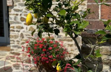 Podere Fontanino - Foto 124