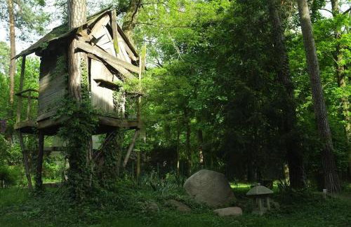 Leśny kasztel pod sosnami. Pokój w koronach drzew. - Foto 22