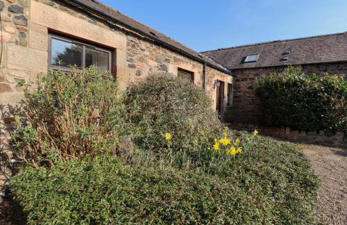 Pansy Plot - Photo 21