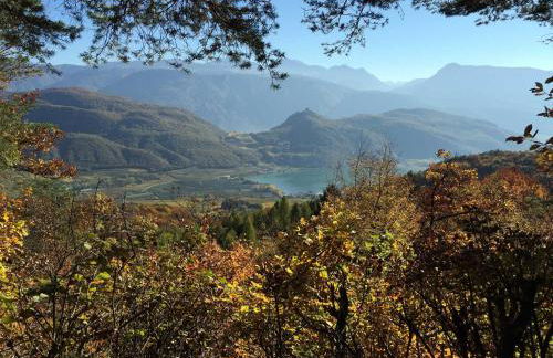 Weitblick Apartment mit Garten - Foto 35