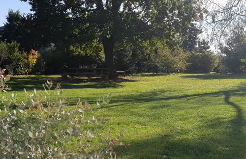 Ferienhof Elbauenblick - Foto 33